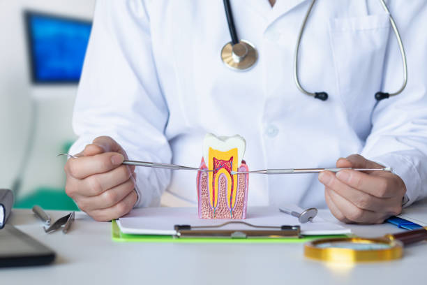 Best Broken or Chipped Tooth Repair in New Madison, OH